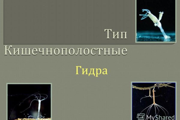 Ссылка на кракен тор kraken014 com