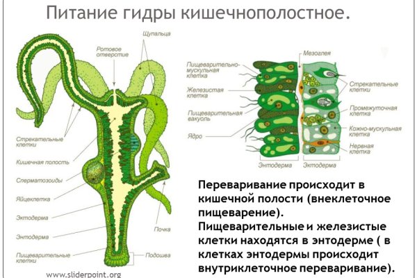 Кракен пользователь не найден что